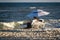 Zatoka beach at evening time in September. Odessa region, Zatoka, Ukraine