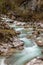 In the Zauberwald, enchanted forest, near Ramsau