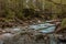 In the Zauberwald, enchanted forest, near Ramsau