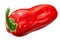 Zavory habanero pepper c.chinense, paths
