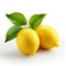 Zbrush Style: Two Lemons With Leaves On White Background