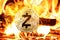 ZCash coin buring in Bonfire