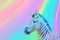 Zebra against colorful background, with copy space. Stand out, paint some color. Ai generative