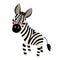 Zebra animal cartoon character vector illustration