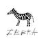 Zebra on background Illustration