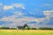 Zebra with blue storm sky with clouds. Burchell`s zebra, Equus quagga burchellii, Zambia, Africa. Wild animal on the green meadow