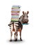 Zebra with books on the back and textbook concept