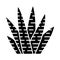 Zebra cactus glyph icon