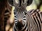 Zebra Calf Wildlife  Made With Generative AI illustration