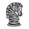 Zebra chess knight sketch vector illustration