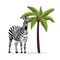 Zebra and coconut palm tree - exotic cartoon animal standing