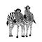 Zebra couple standing. Savannah animal ornament.