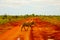 A zebra covered in red sand in Tsavo National Park in Kenya crosses the road