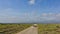 Zebra crosses the road. Herbivores graze in the savannah.