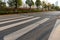 Zebra crossing on outdoor road