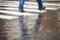 Zebra crossing in rain