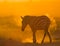 Zebra in the dust against the setting sun. Kenya. Tanzania. National Park. Serengeti. Maasai Mara.