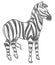 Zebra equine animal monochrome sketch outline