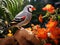Zebra finch Exotic birds and animals in wildlife in natural setting