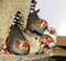 Zebra finches