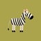 Zebra Funny Illustration