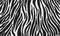 Zebra fur skin seamless pattern, carpet zebra hairy background, black and white texture, look smooth, fluffly and soft.