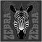 Zebra head. Vector illustration.