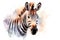 Zebra head watercolor, animals, african savannah, illustration. Generative AI