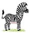 Zebra horse african zoo cartoon figure