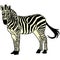 Zebra Horse beast icon cartoon design abstract illustration animal
