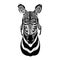 Zebra Horse wearing motorcycle helmet, aviator helmet Illustration for t-shirt, patch, logo, badge, emblem, logotype