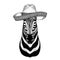 Zebra Horse Wild animal wearing sombrero Mexico Fiesta Mexican party illustration Wild west