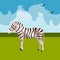 Zebra icon. African animals.