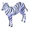 Zebra icon, isometric style