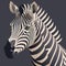 Zebra. Illustration. Zebra in natural grass habitat, Kenya National Park. Nature wildlife scene, Africa.