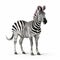 Zebra In The Last Unicorn: Full Body On White Background