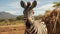 Zebra In Madagascar: A Narrative-driven Visual Storytelling Experience