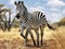 Zebra  Made With Generative AI illustration