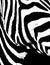 Zebra mobile pattern for background - black and white zebra stripes