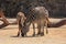 A zebra mother and her foal eating in a zoo enclosure