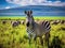 Zebra in ngorongoro crater Tanzania during greeny season  Made With Generative AI illustration