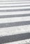 Zebra Pedestrian Crossing.