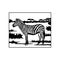 Zebra - savanna, Africa Wildlife, Wildlife Stencils - Forest Silhouettes for Cricut, Wildlife clipart, png Cut file