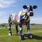Zebra Sculpture In Tristan Eaton Style, Made Of Cheese And Standing In A Field With Suffolk Coast Views