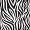 Zebra seamless pattern. Black and white tiger stripes. Popular texture.