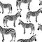 Zebra Seamless Surface Pattern, Black and White Zebras Background for Textile Design, Fabric Printing, Stationary, Packaging, Wall
