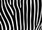 Zebra skin pattern