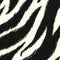 Zebra skin pattern background