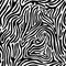 Zebra skin repeated seamless pattern