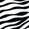 Zebra skin texture